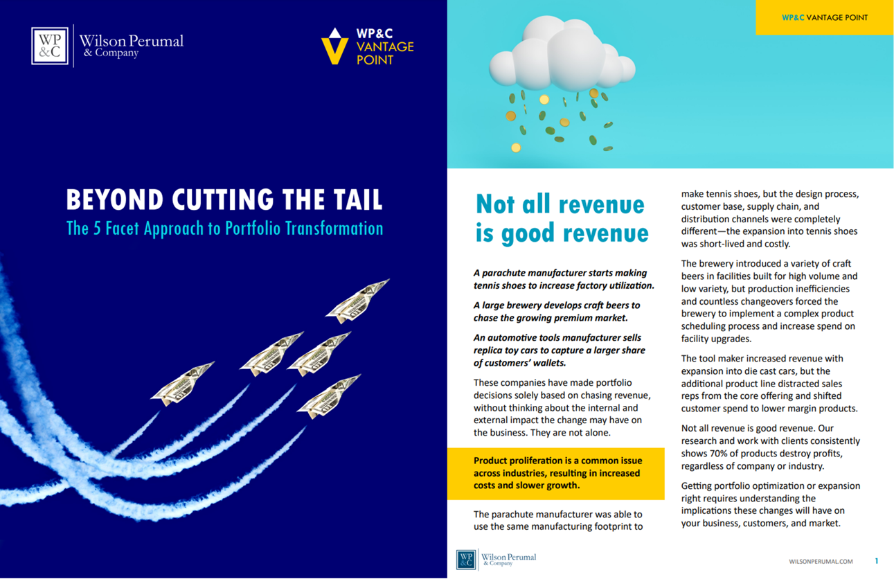 5 facet vantage point image