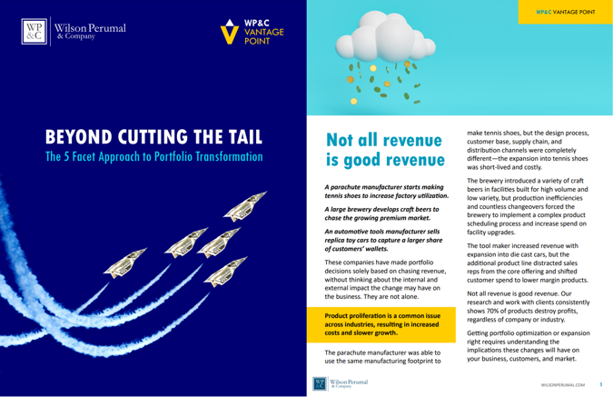 5 facet vantage point image