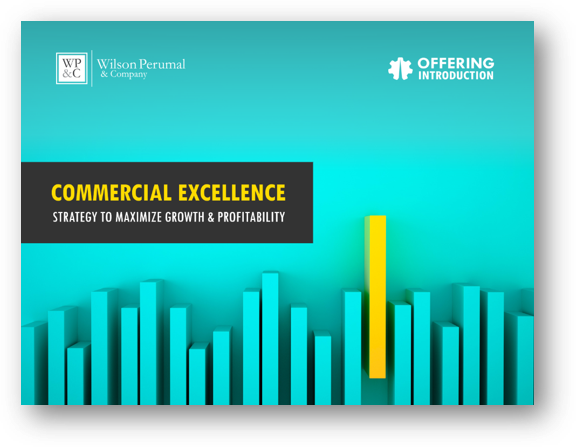 Commercial Excellence Offering Introduction-1