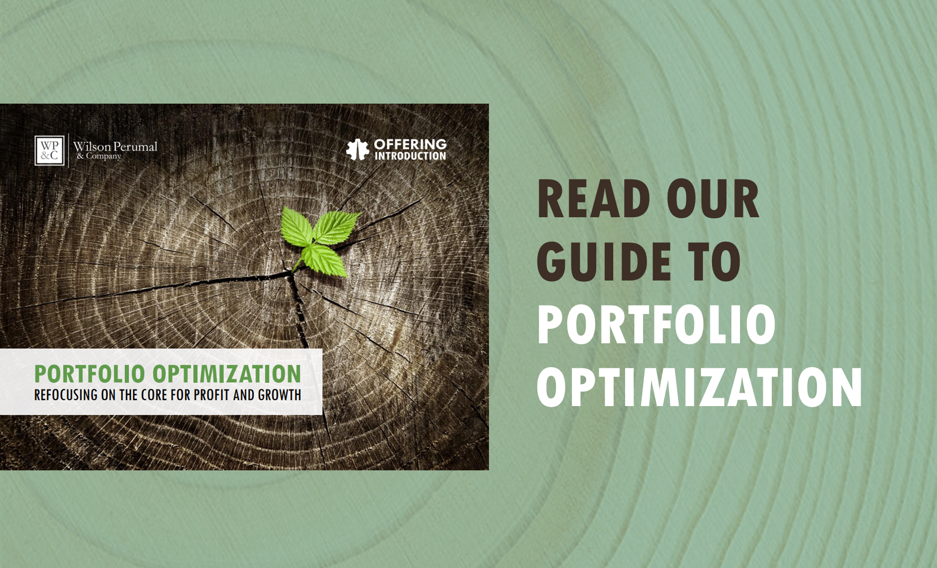 portfolio optimization offering introduction